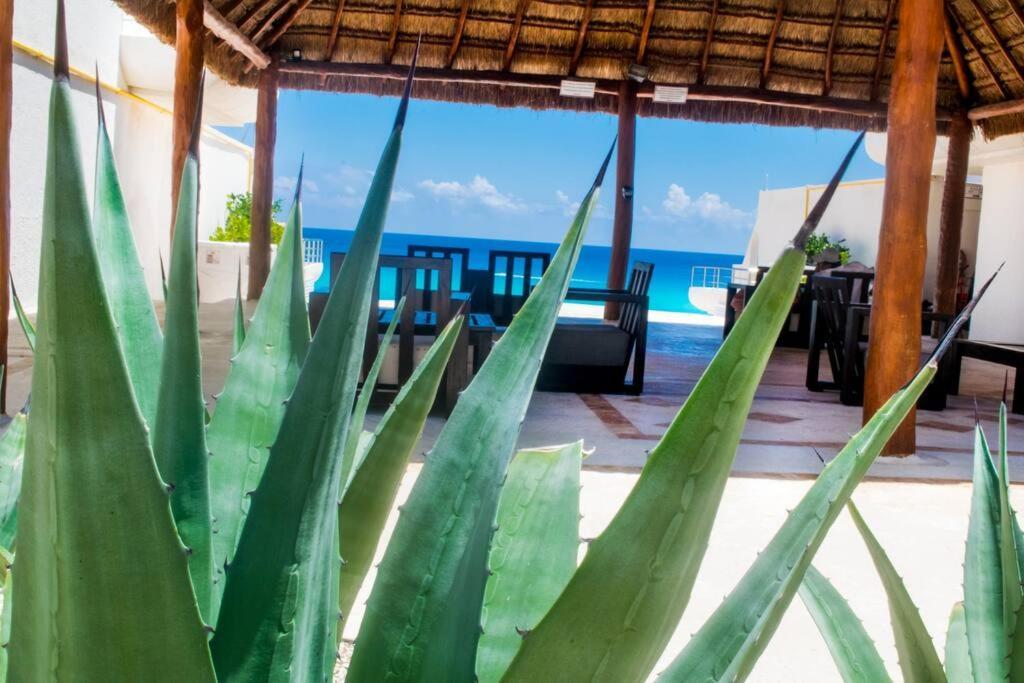 Cancun Marlin 32 Exterior photo